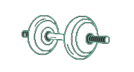 Shapness Logo
